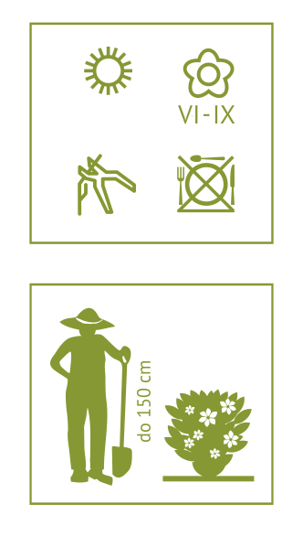 6101