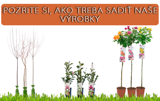 Playlista Slowacki
