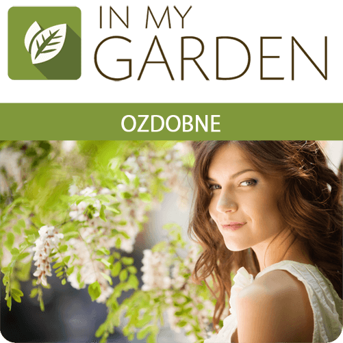 ozdobne PL