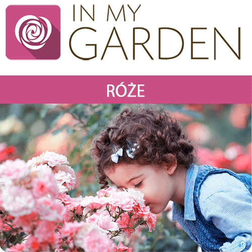 roze PL
